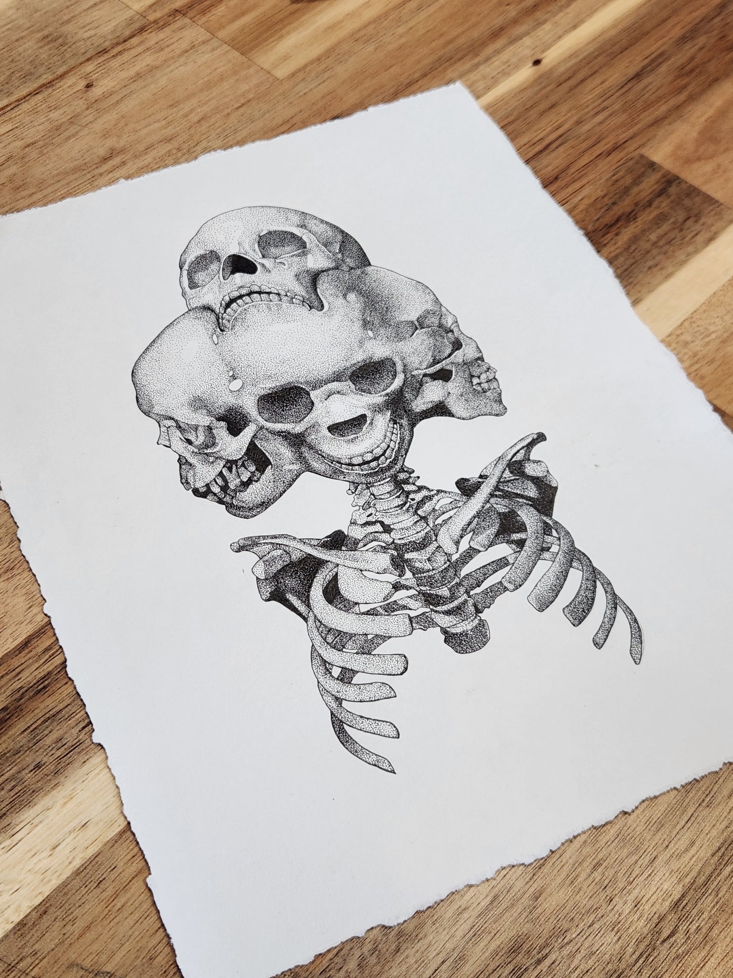 METAMORPHISIS - Print